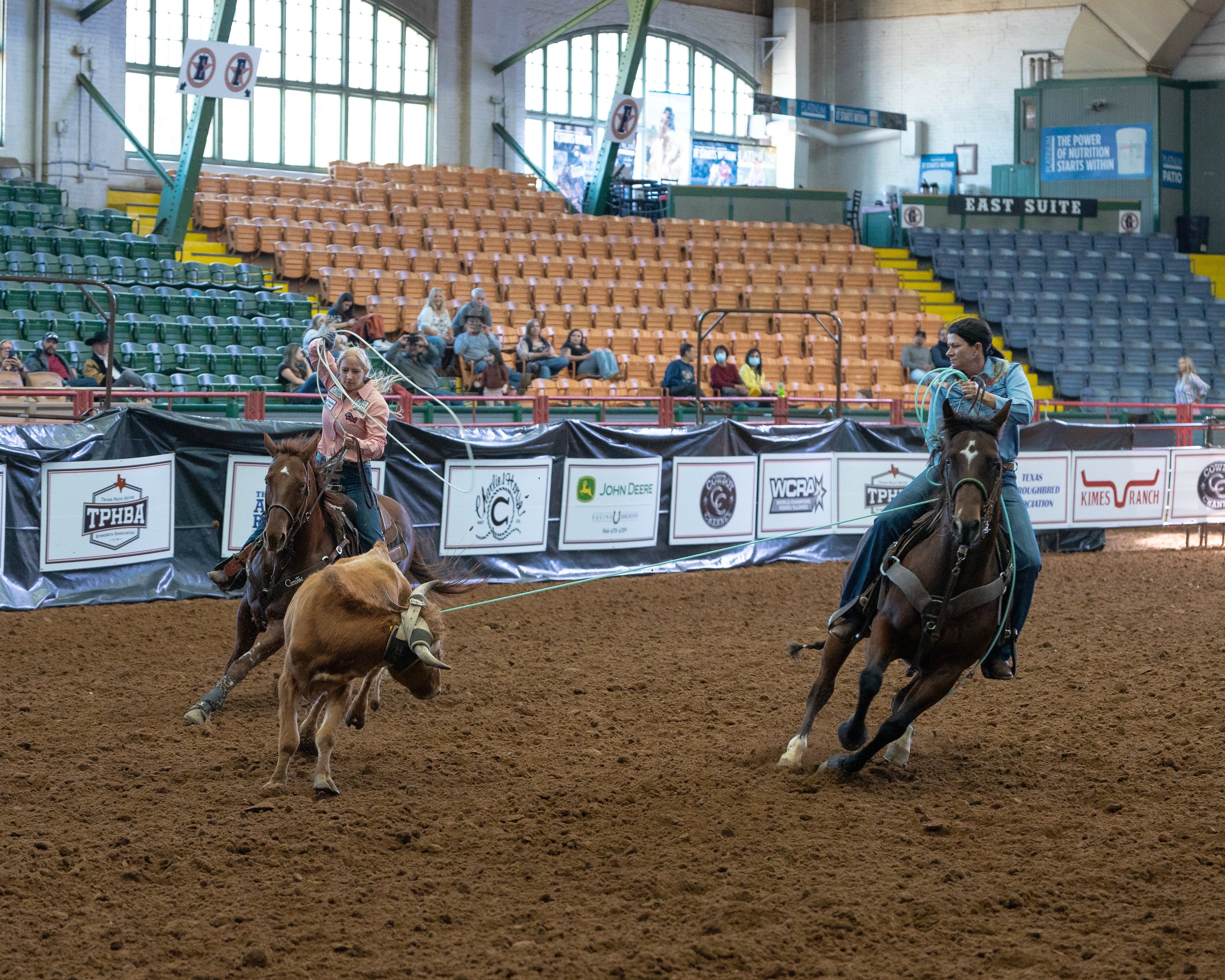 Team roping, cowgirl, western horse sports, ranch horse, cowboy, western lifestyle